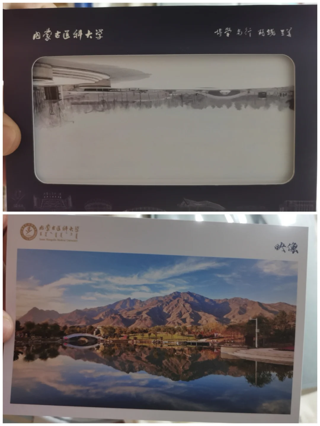 长春高等教育博览会～羊毛版