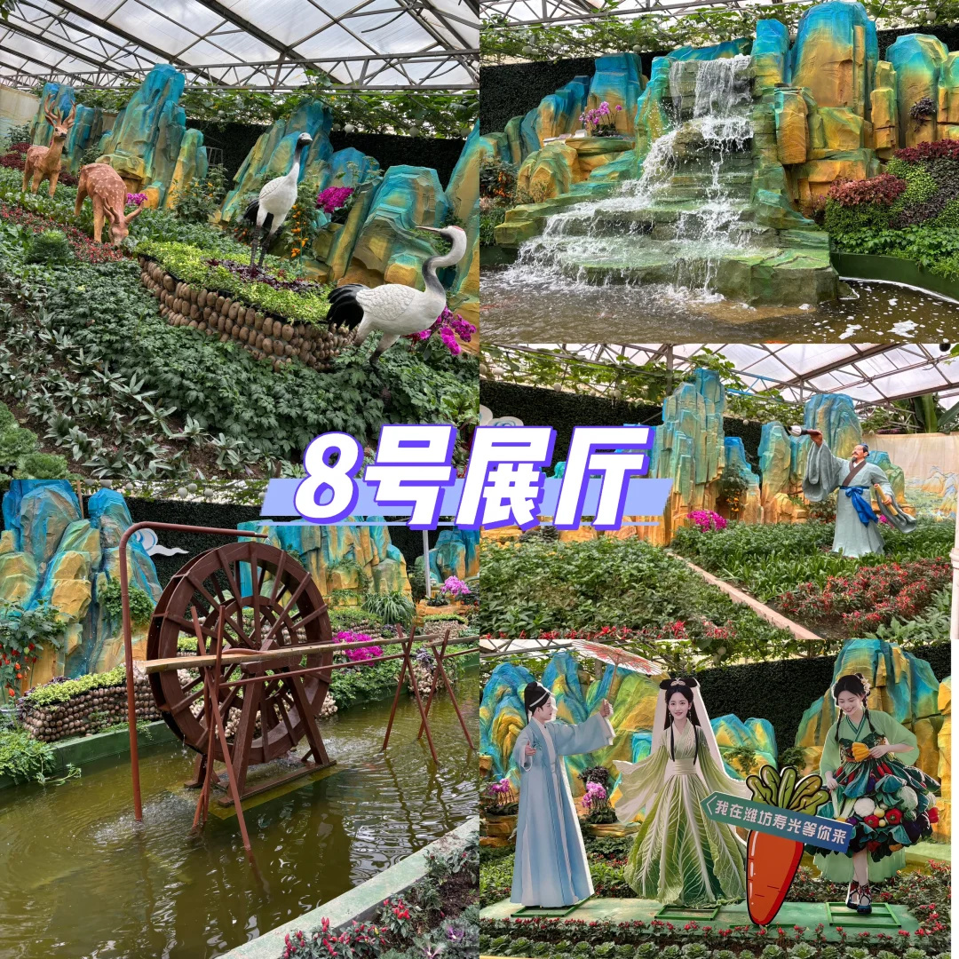 寿光菜博会跌破眼镜了！