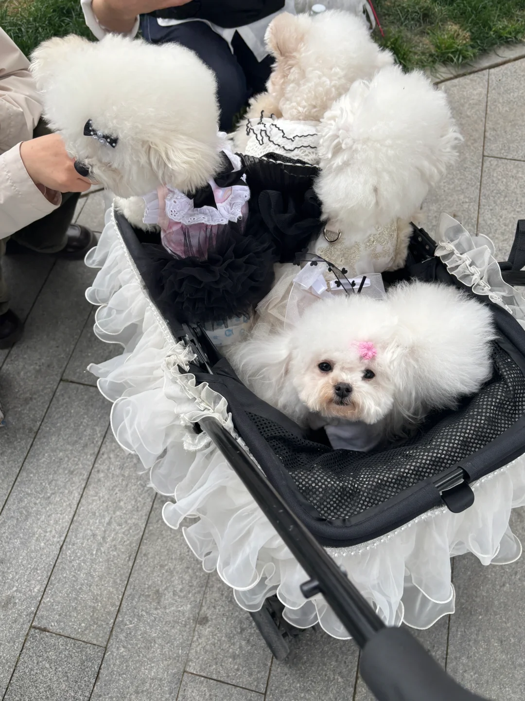 00后应届生｜会展人plog｜展前一周都在干嘛?