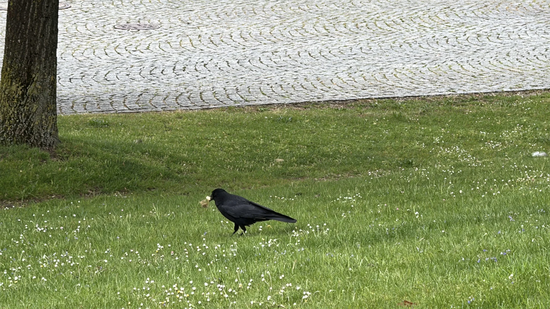 Inter Solar 2025✨能量满满