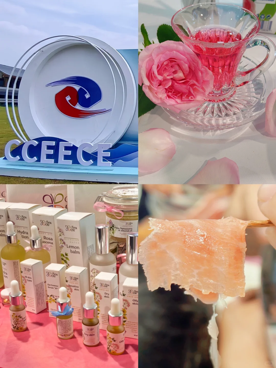 ?我从宁波中东欧博览会回来啦！