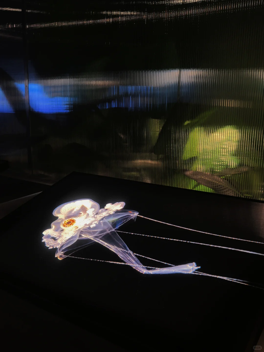 佛山新展?️国家地理的展会可以永远相信