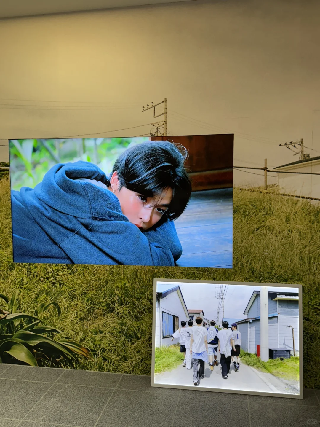 四中心你终于补货了!