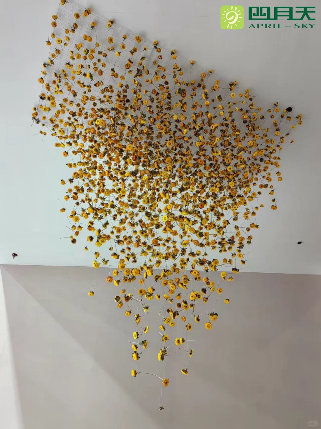 ?四月天园艺｜深圳国际会展中心