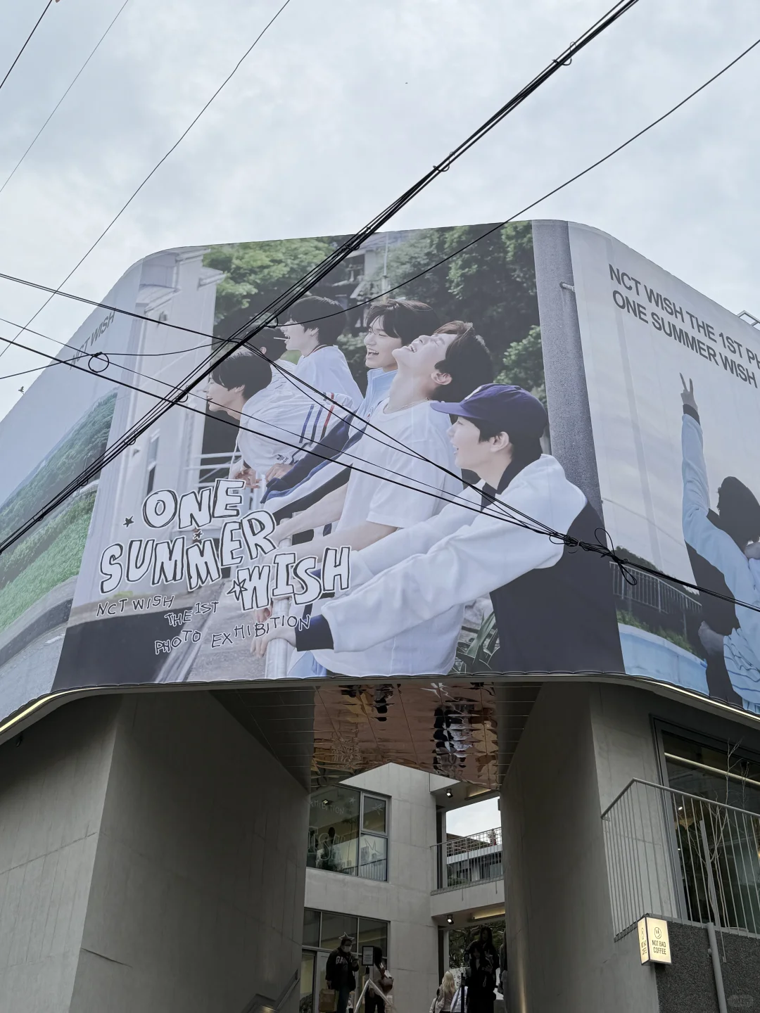 四中心你终于补货了!