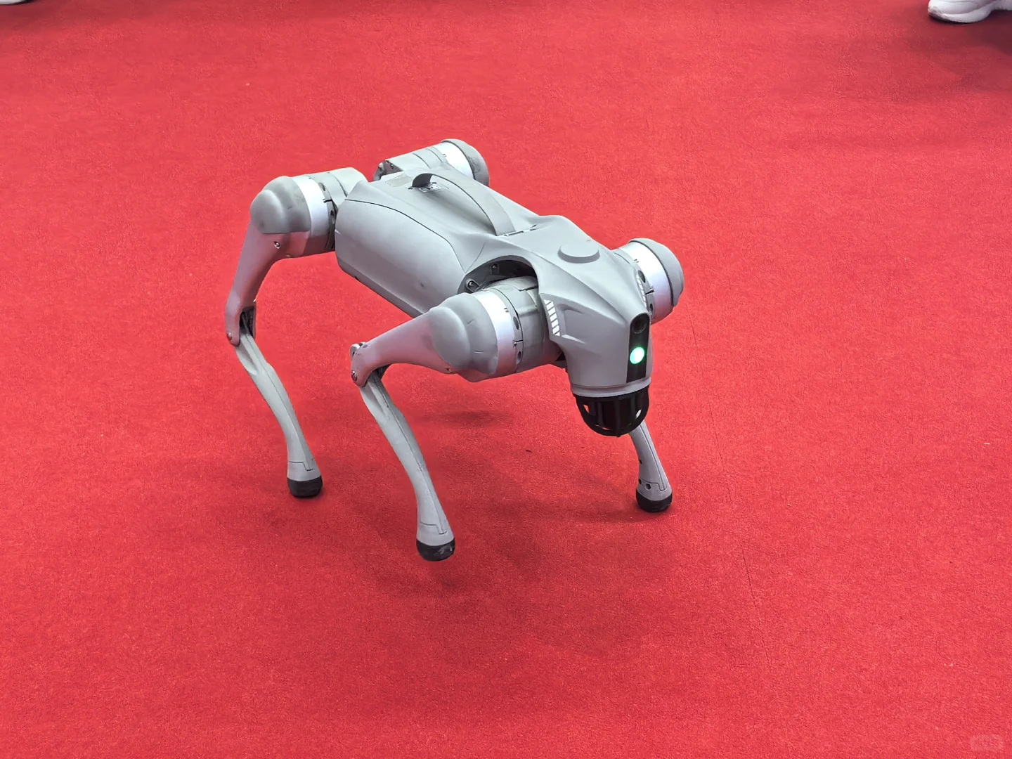 JLU｜高博会志愿者经验＋1