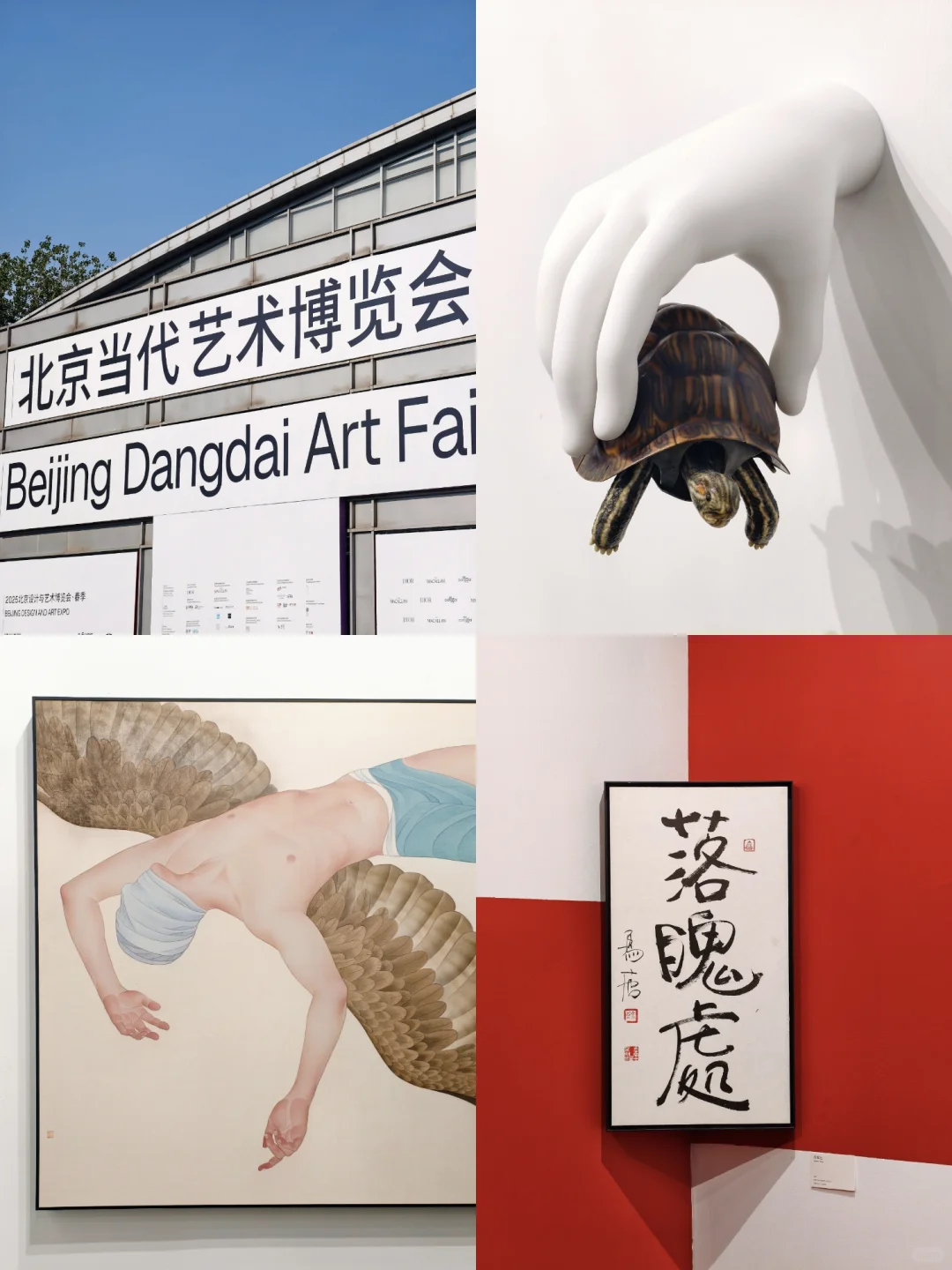 公众开放日！2025北京当代艺术博览会回归啦