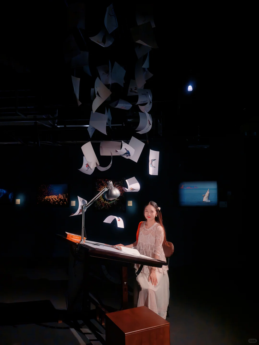 佛山新展?️国家地理的展会可以永远相信