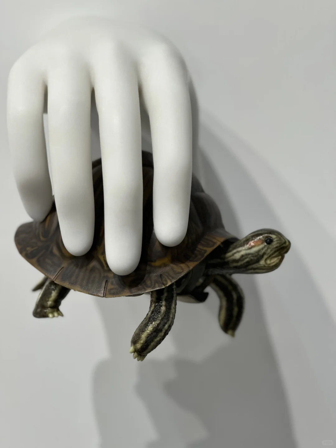 赶艺术大集,遇到申玲老师❤️