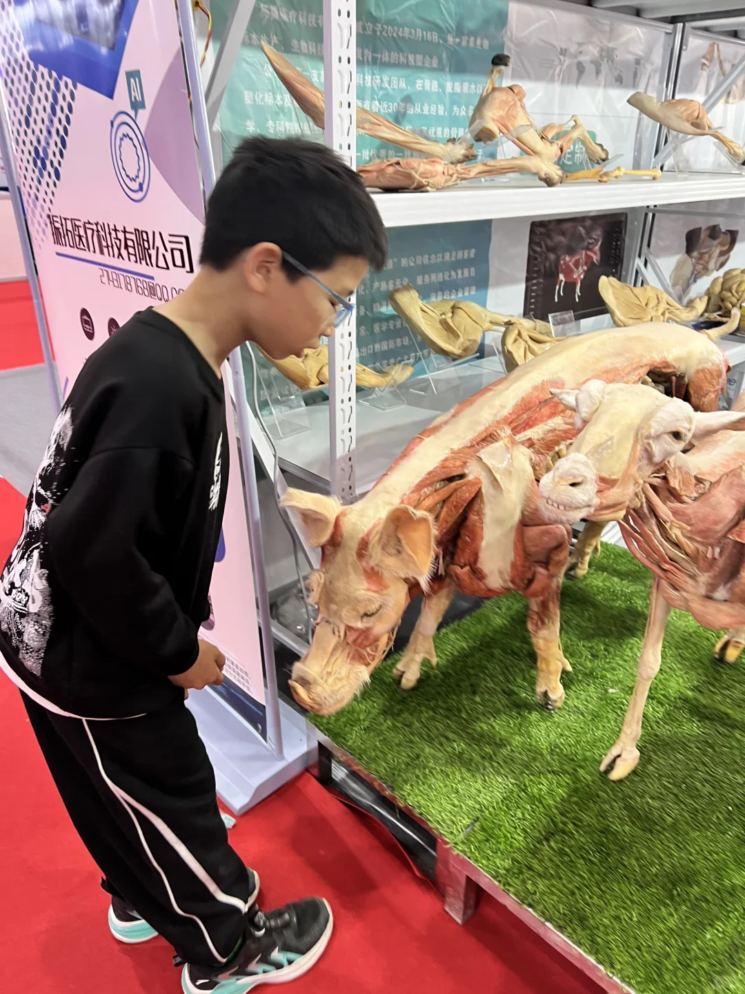 ???速度带娃去看，高等教育博览会！