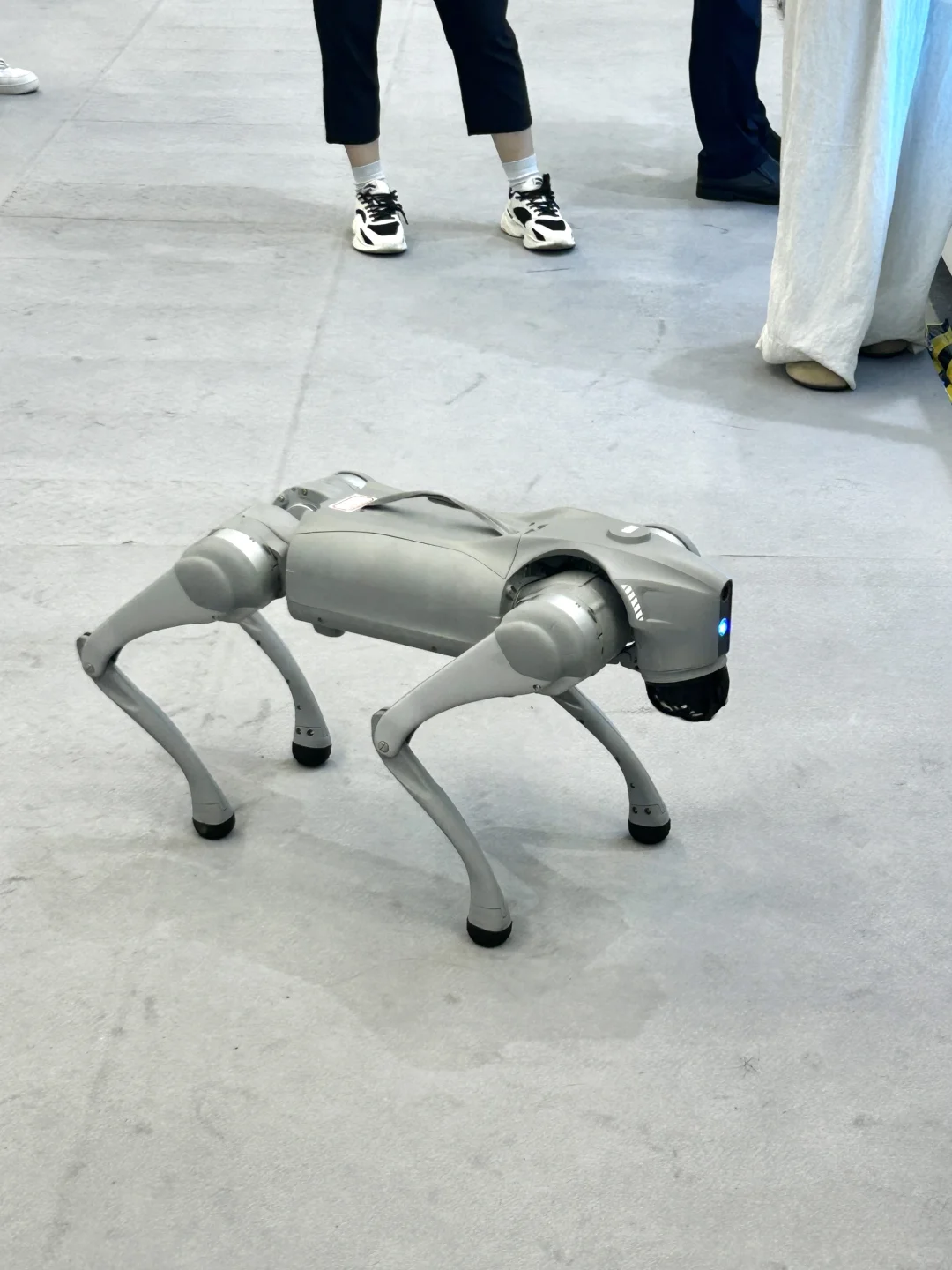 深圳逛展｜好好逛?人工智能展?