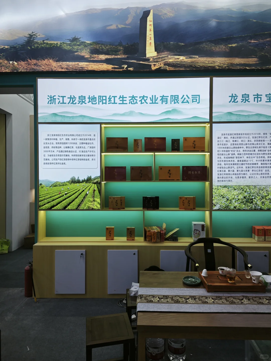 十几年看展经验|几句话告诉你茶博会怎么逛