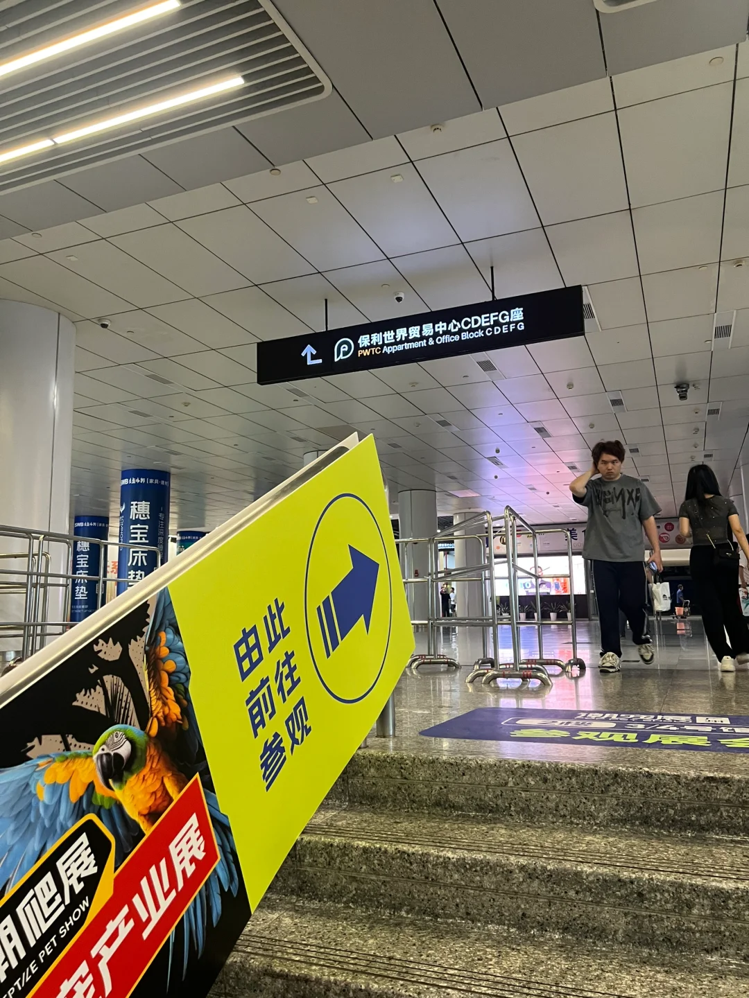 撸猫?玩狗?嗨翻天(=^o^=)