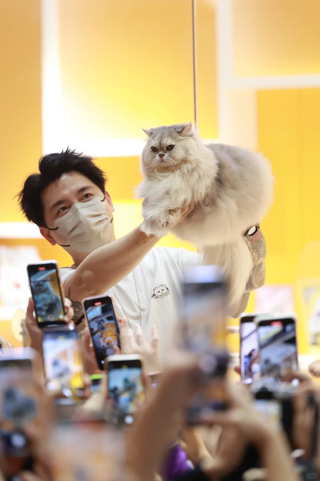 金故X潮宠展圆满落幕，感恩每一次相遇?