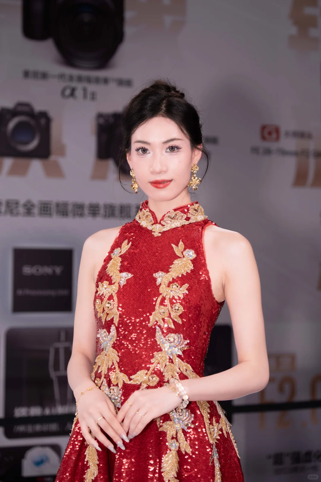 中国摄影器材展之索尼