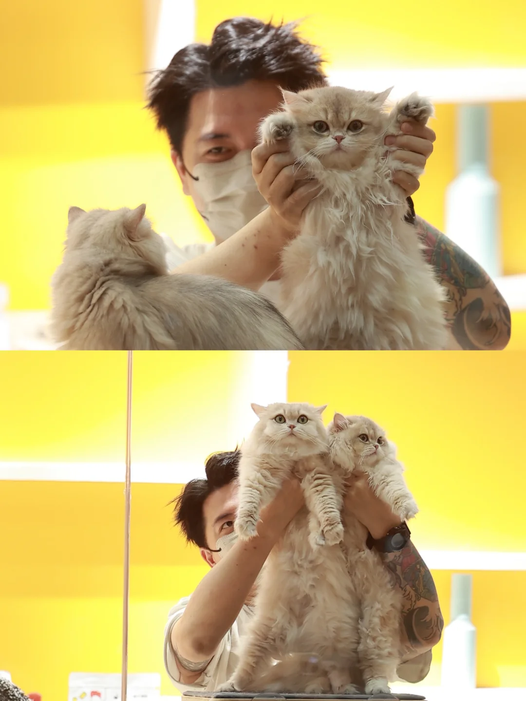 金故X潮宠展圆满落幕，感恩每一次相遇?