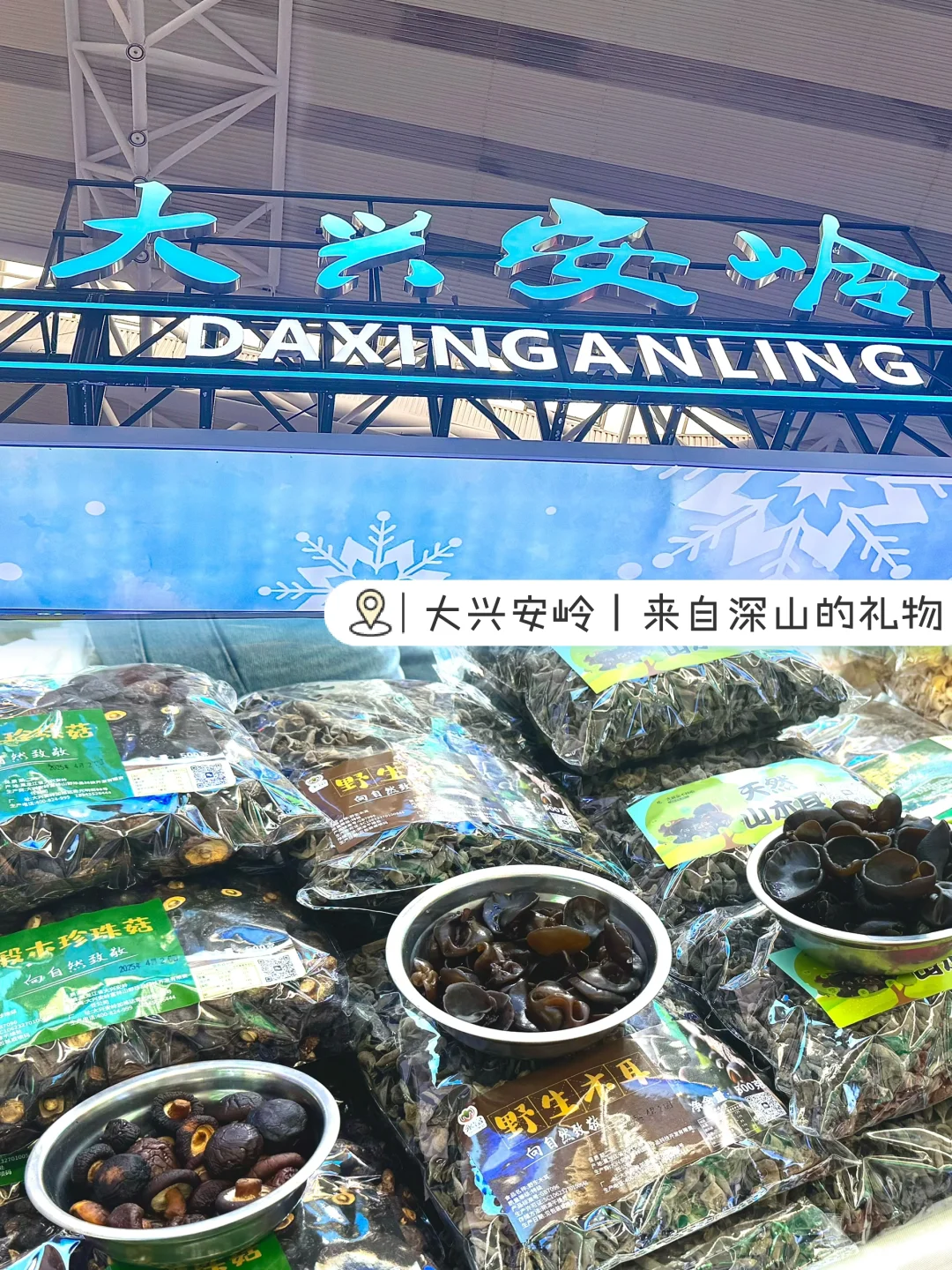 ?25年哈洽会攻略｜没有一个人能空着手出来