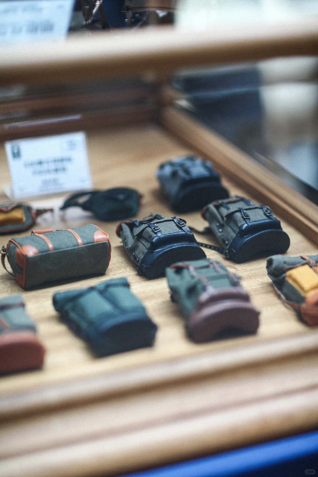 万物可循，精彩不散场