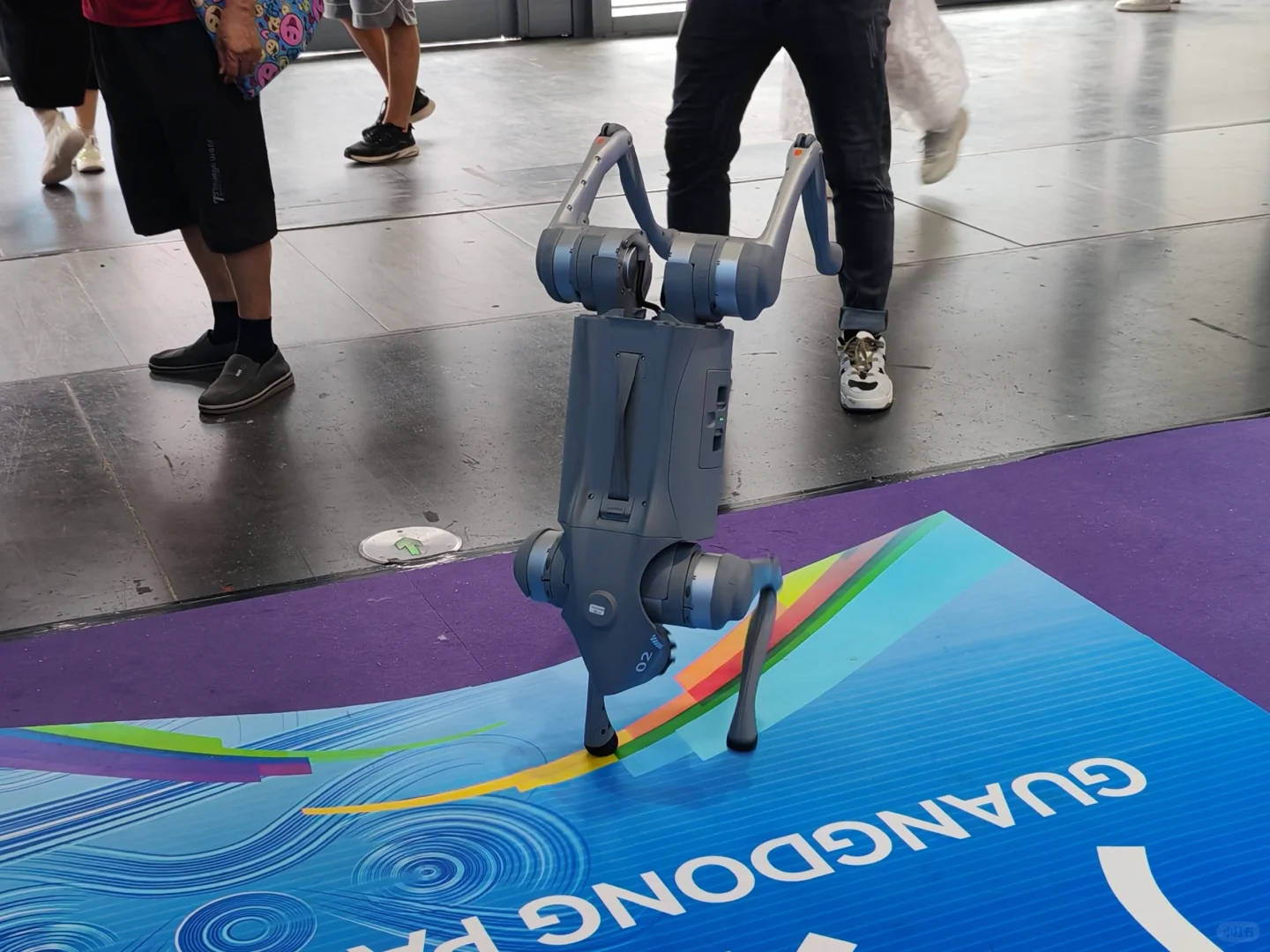 ?年度大展‖深圳文博会打卡攻略