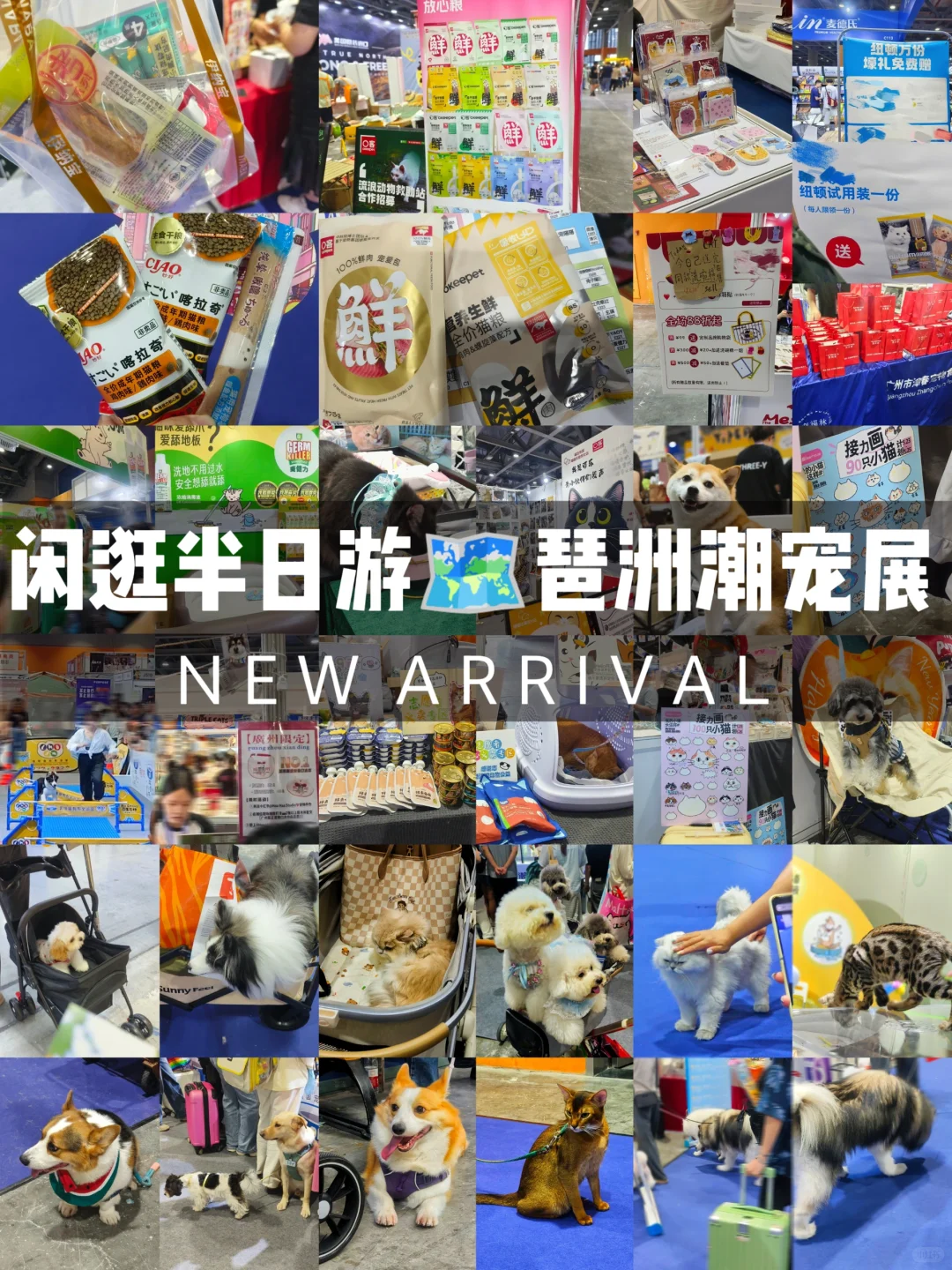 闲逛半日游｜琶洲潮宠展（个人打卡版）