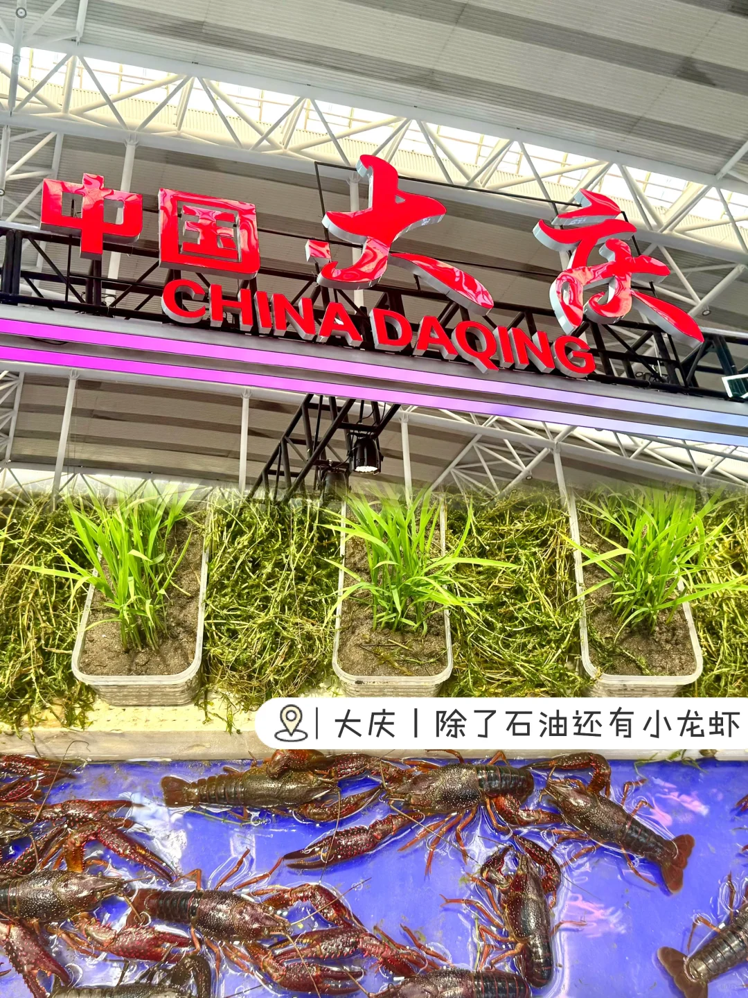 ?25年哈洽会攻略｜没有一个人能空着手出来