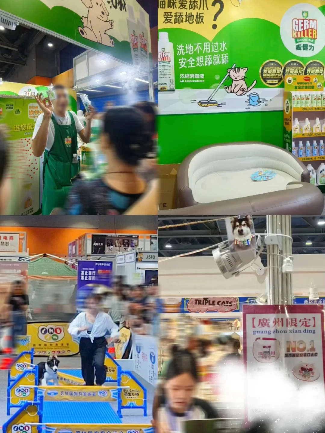 闲逛半日游｜琶洲潮宠展（个人打卡版）