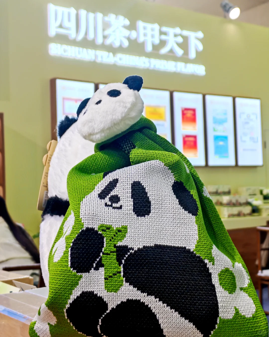 周末补课茶业展，不薅茶叶薅吧唧？