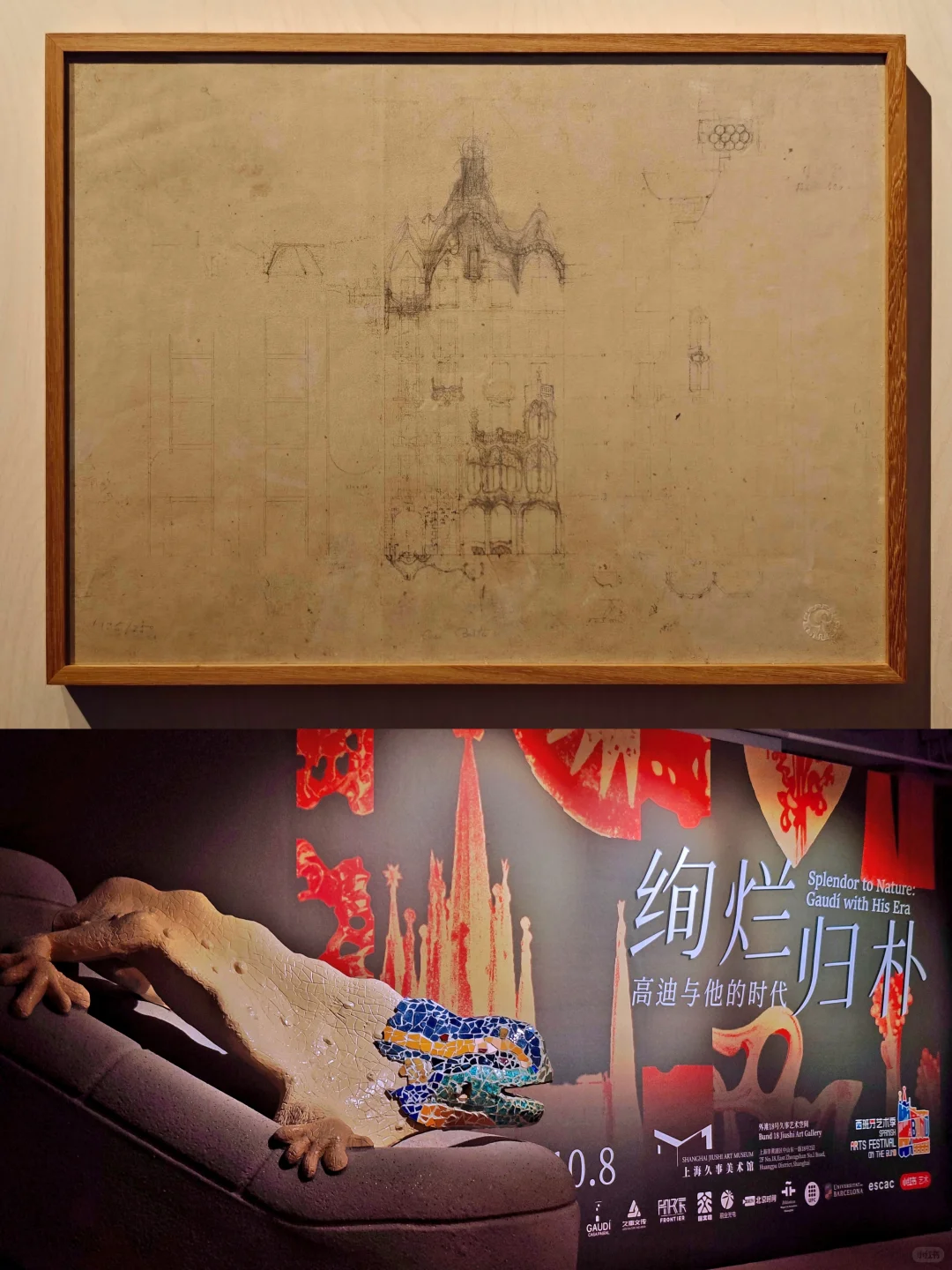 看完这个展会想立刻打✈️去巴塞罗那！