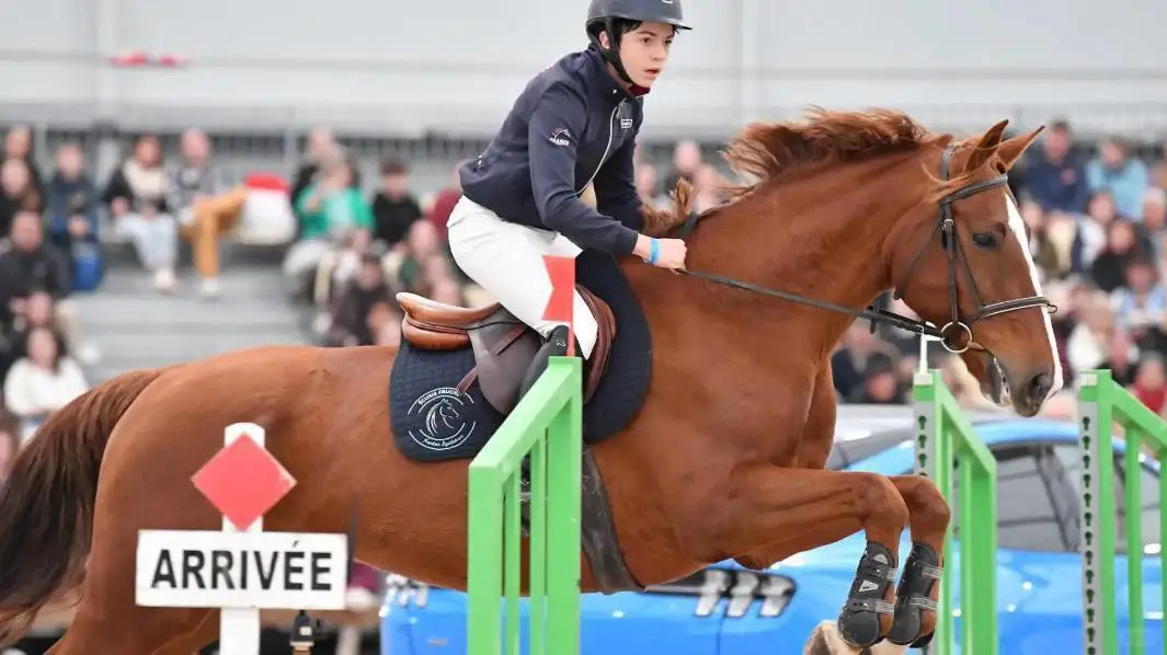 【盈拓展览】法国昂热国际马术展览会