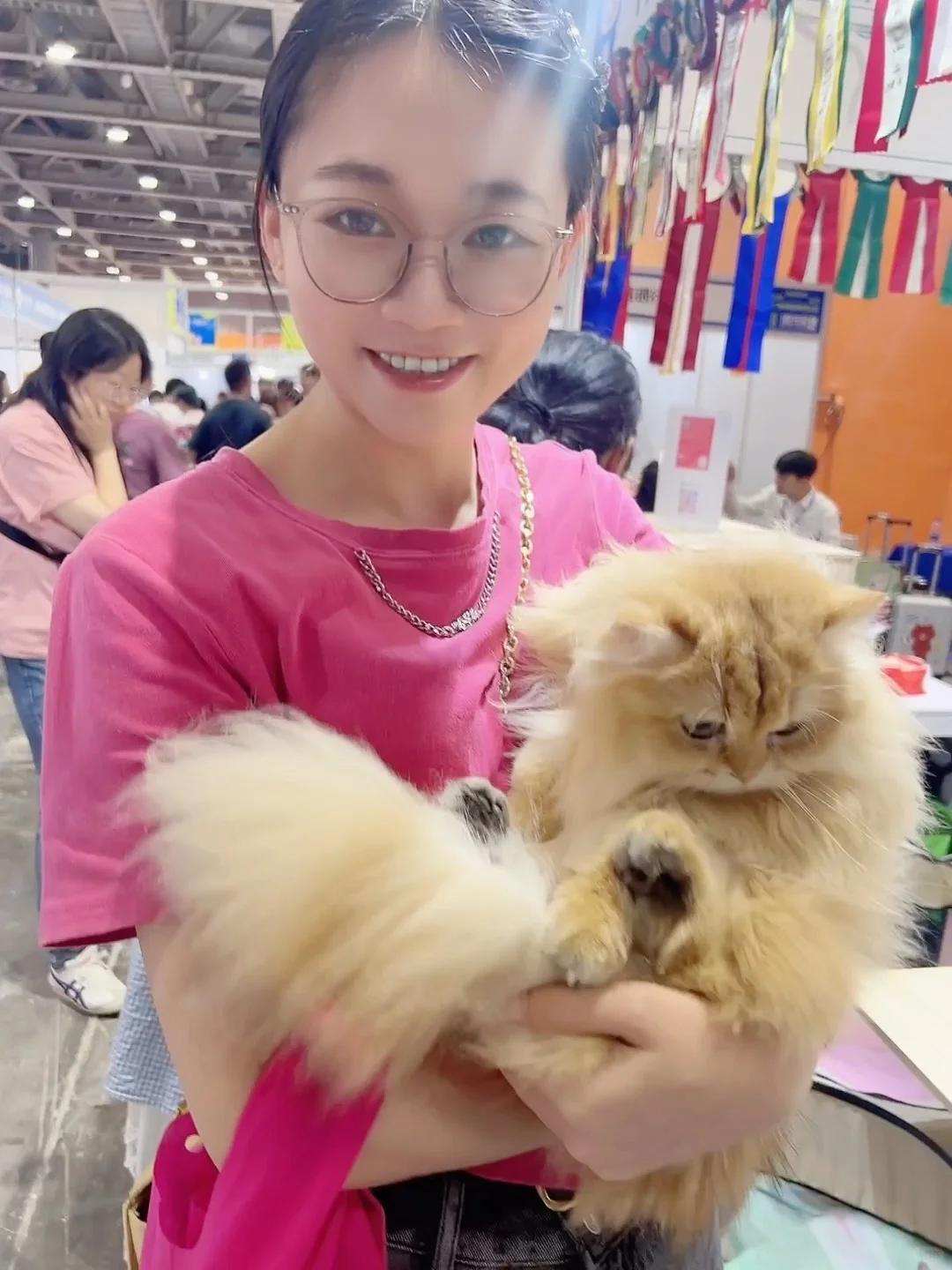 撸猫?玩狗?嗨翻天(=^o^=)