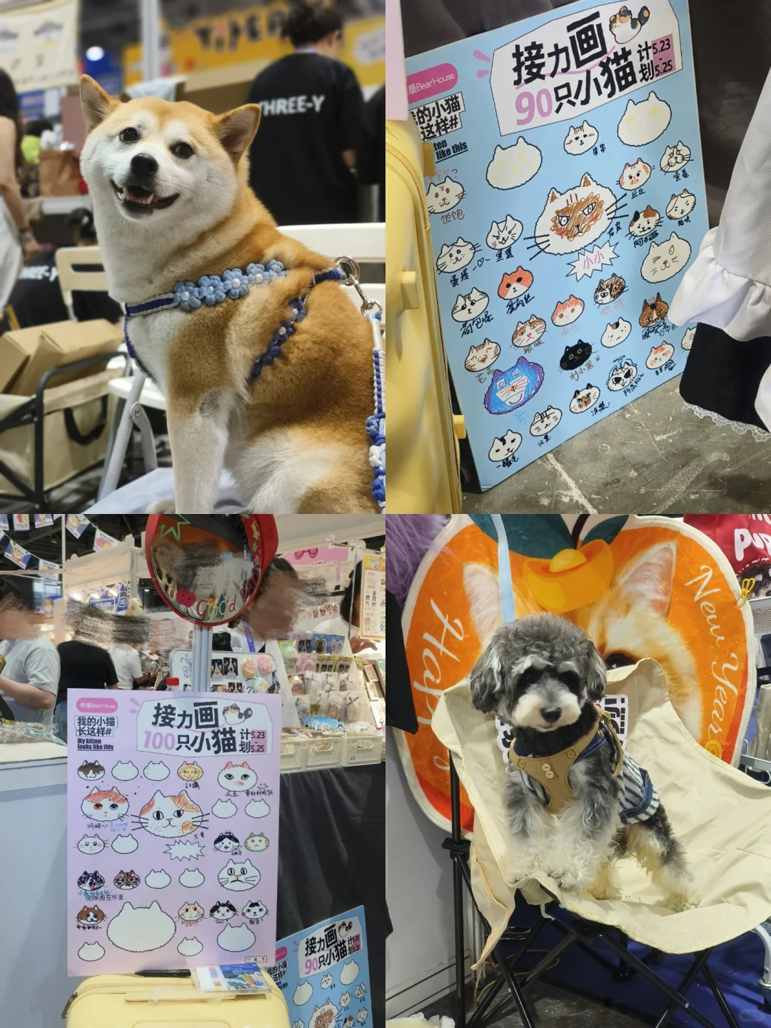 闲逛半日游｜琶洲潮宠展（个人打卡版）