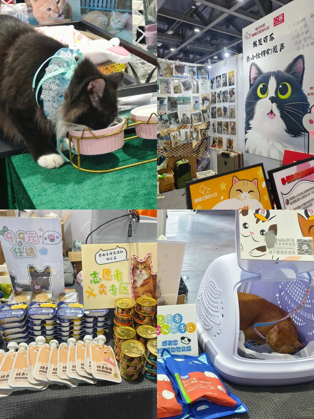 闲逛半日游｜琶洲潮宠展（个人打卡版）