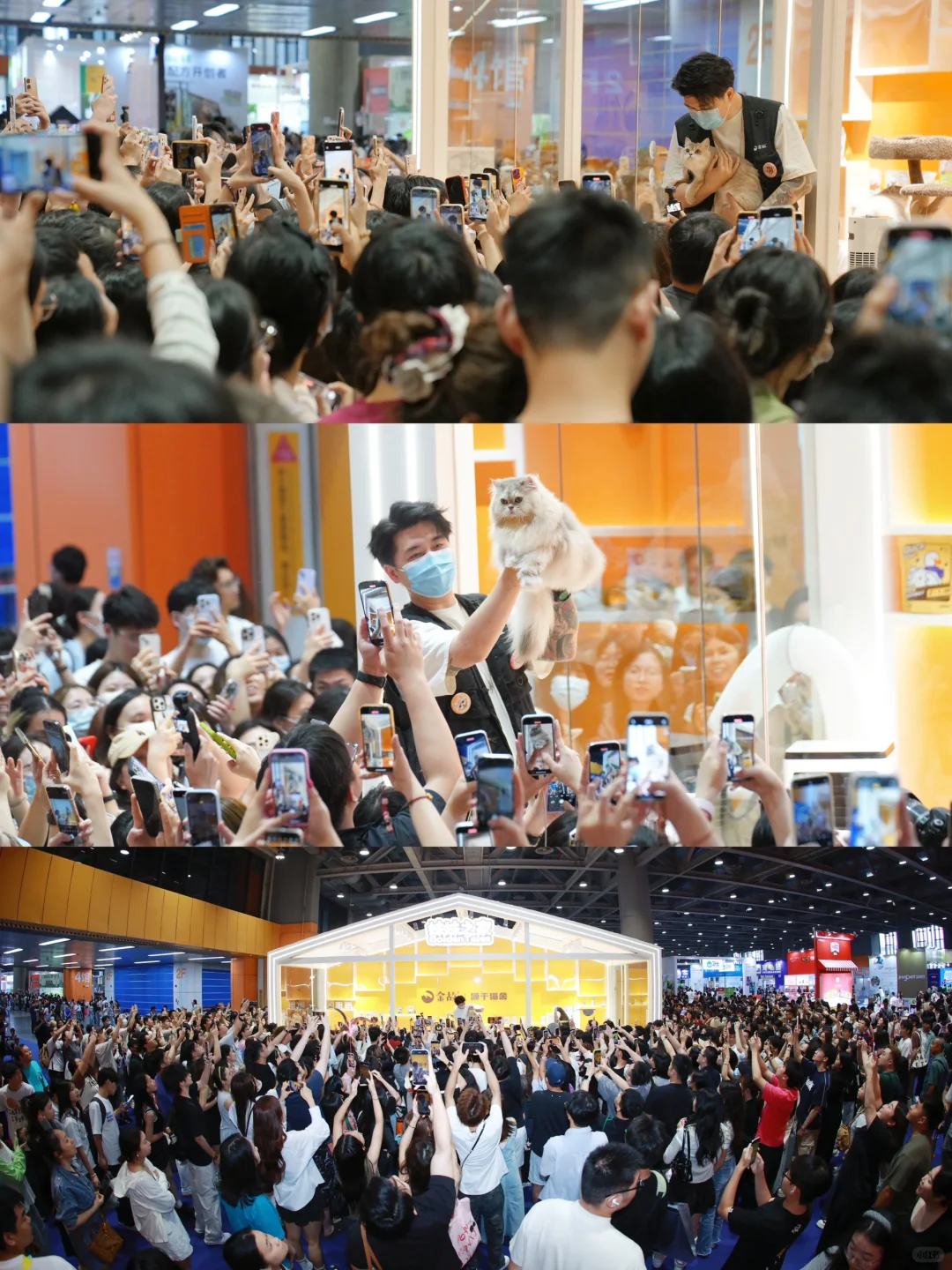 金故X潮宠展圆满落幕，感恩每一次相遇?
