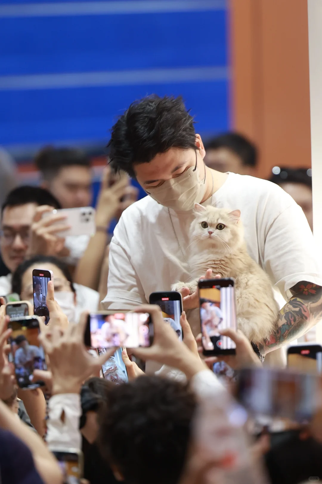 金故X潮宠展圆满落幕，感恩每一次相遇?