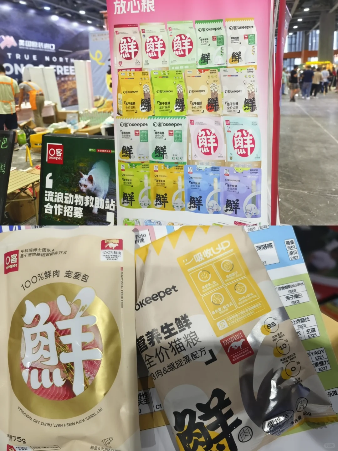 闲逛半日游｜琶洲潮宠展（个人打卡版）