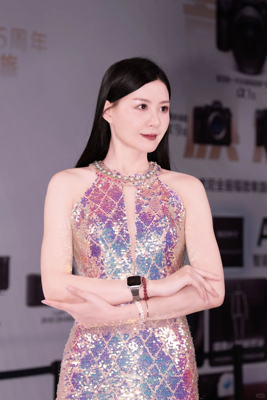 中国摄影器材展之索尼