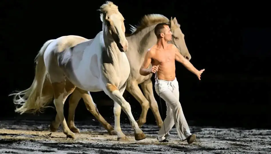 【盈拓展览】法国昂热国际马术展览会