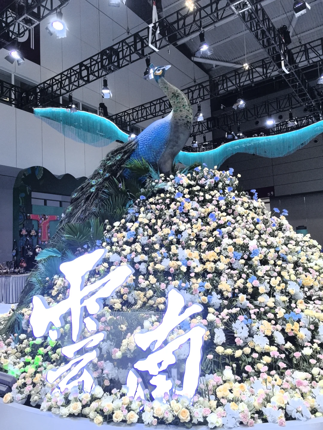 深圳文博会暴走3万步！替你扒到了各省暗号