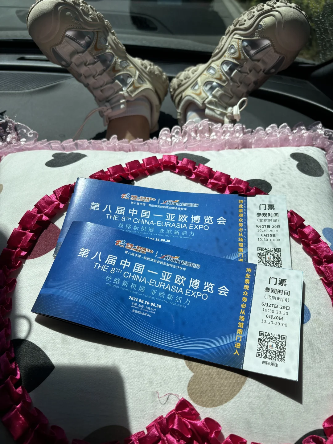 亚欧博览会逛完回来了