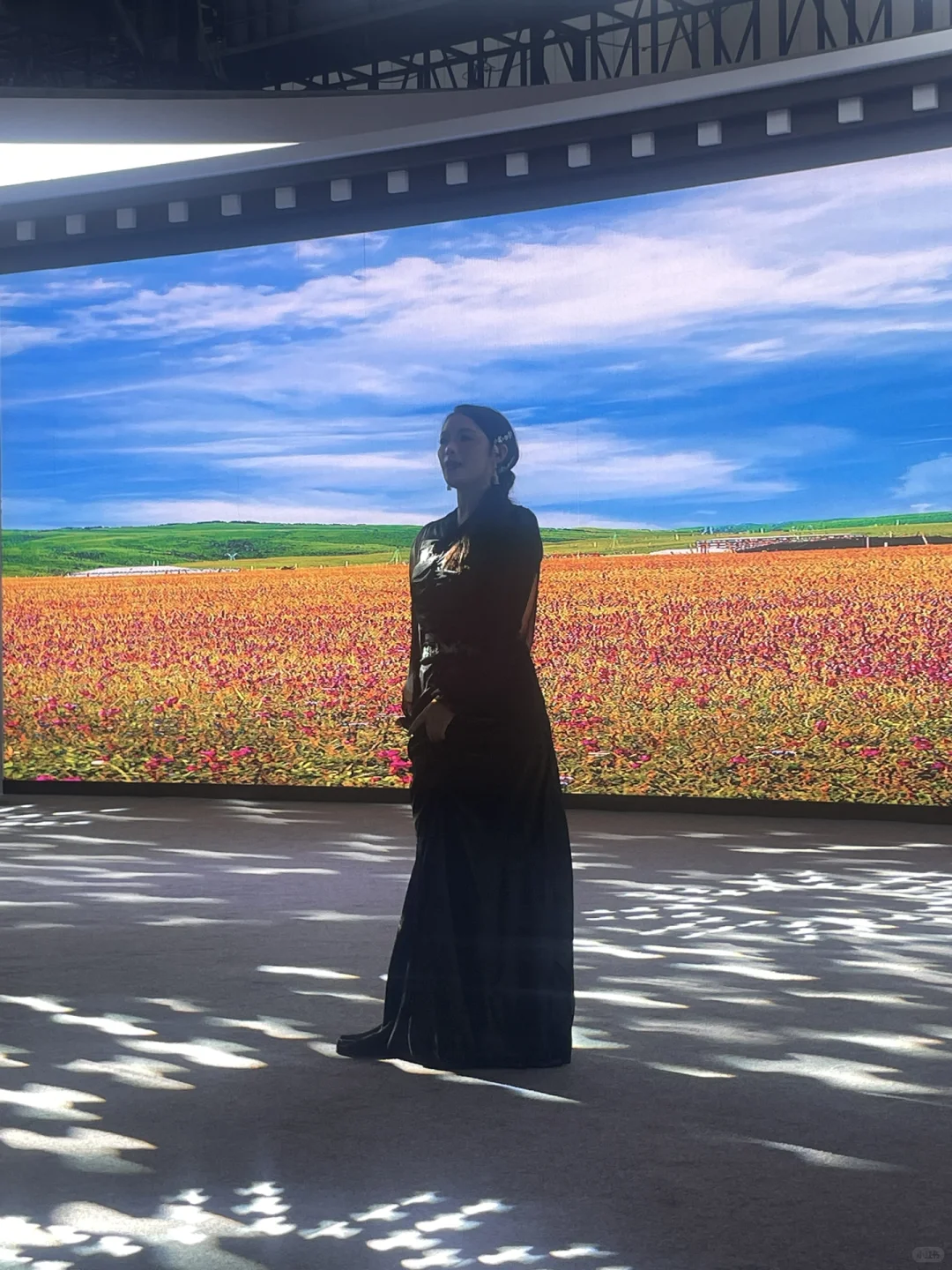 西博会近期展览