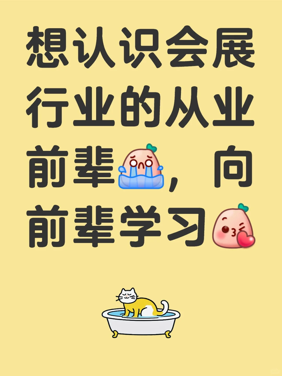 希望前辈可以给予一些建议?