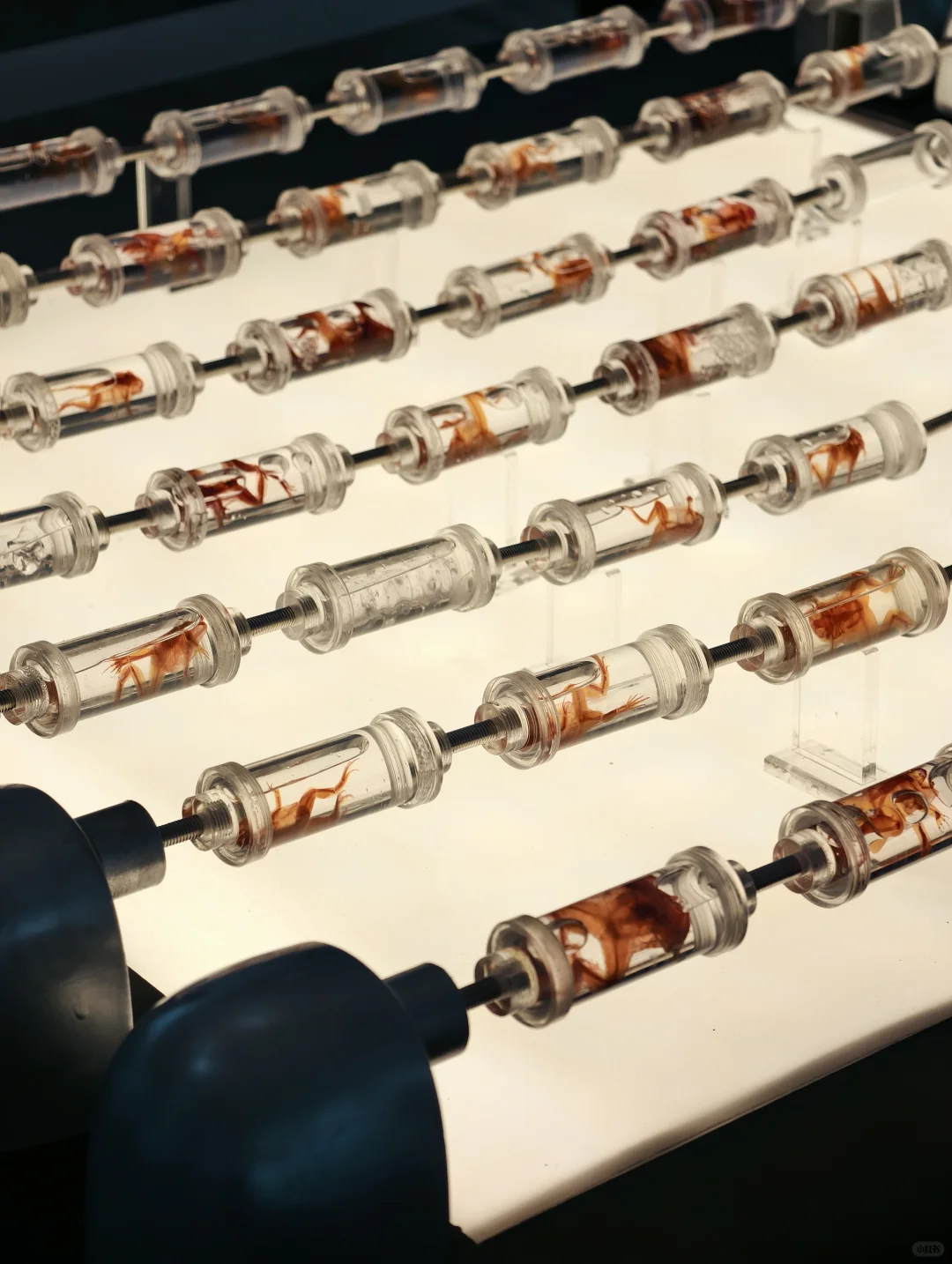 每年五月广州限定，一年一度的广美毕业展！