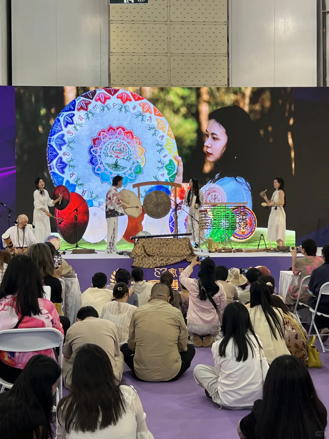 高敏感人想逛的疗愈博览会观后感