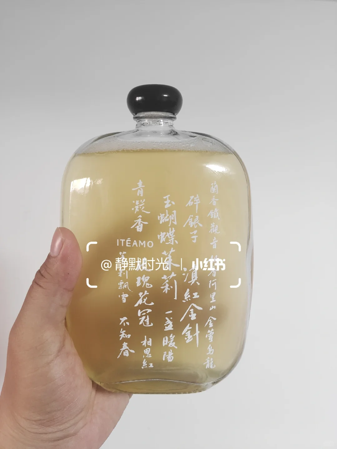 国际茶叶展——春伦盖章得茉莉银毫冷萃