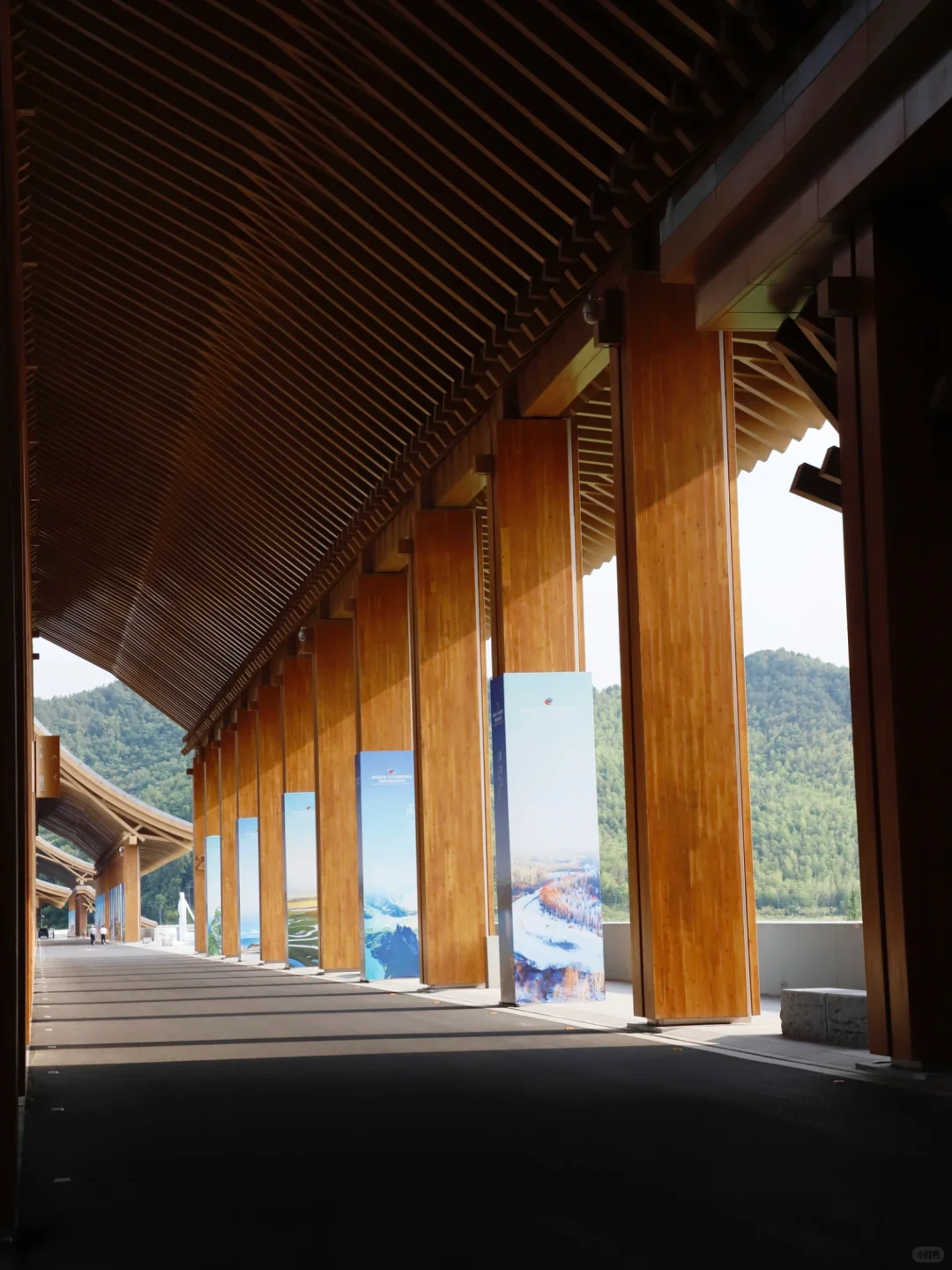 周末出发！地铁直达！免费观展全攻略来啦❗️