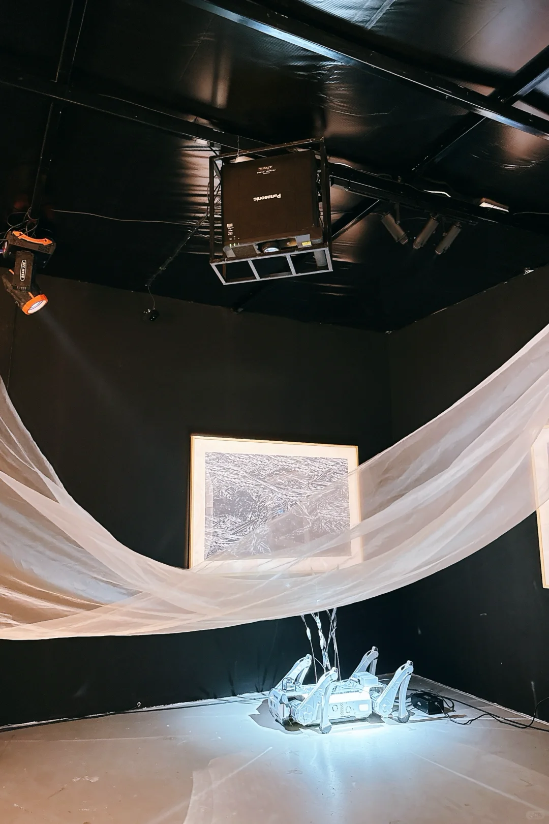 艺术展真的太好玩了！??