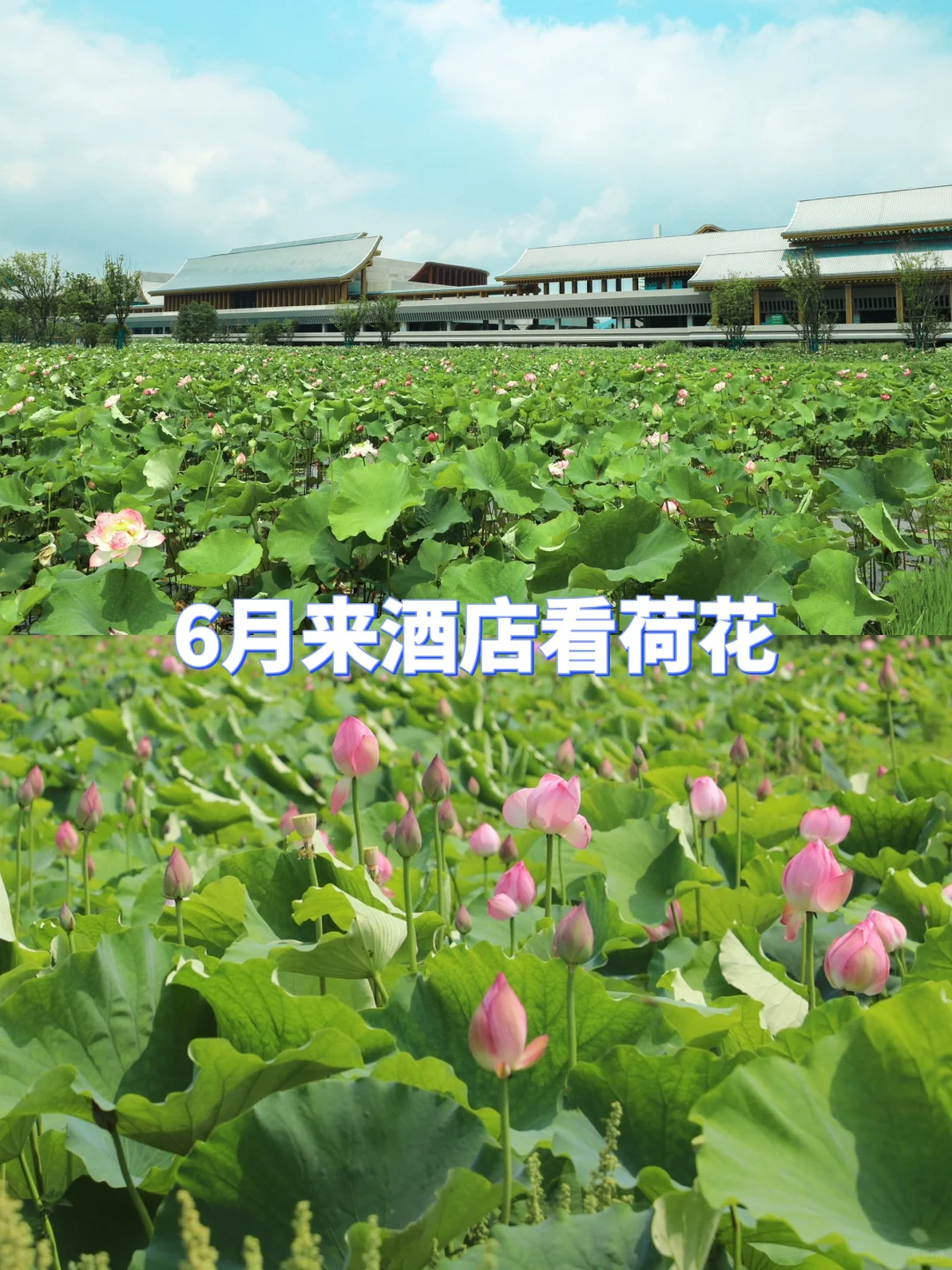 周末出发！地铁直达！免费观展全攻略来啦❗️