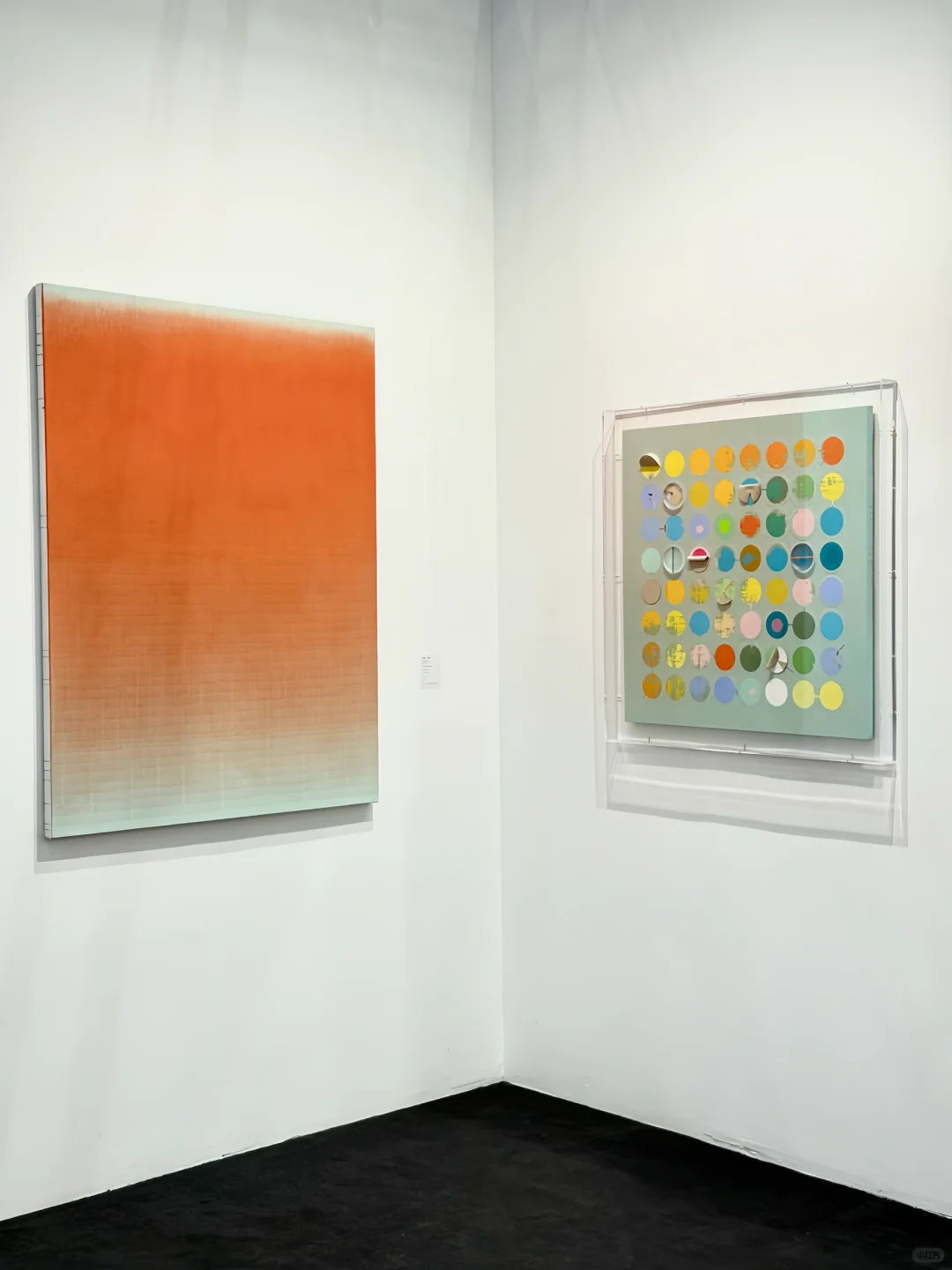 看不完!根本看不完!