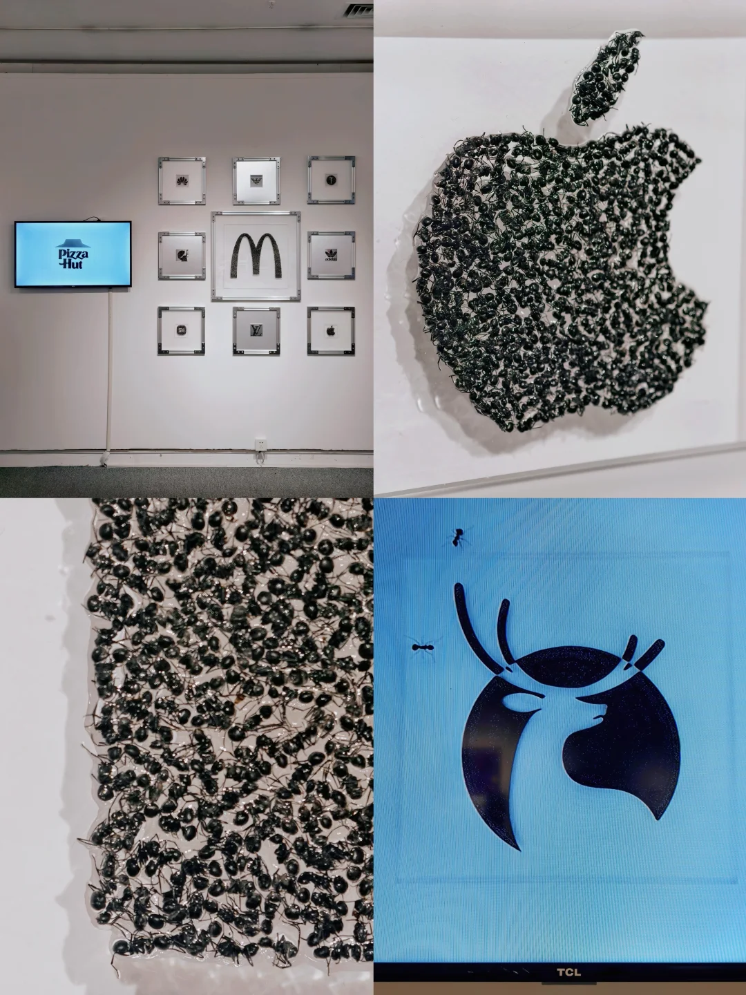 每年五月广州限定，一年一度的广美毕业展！