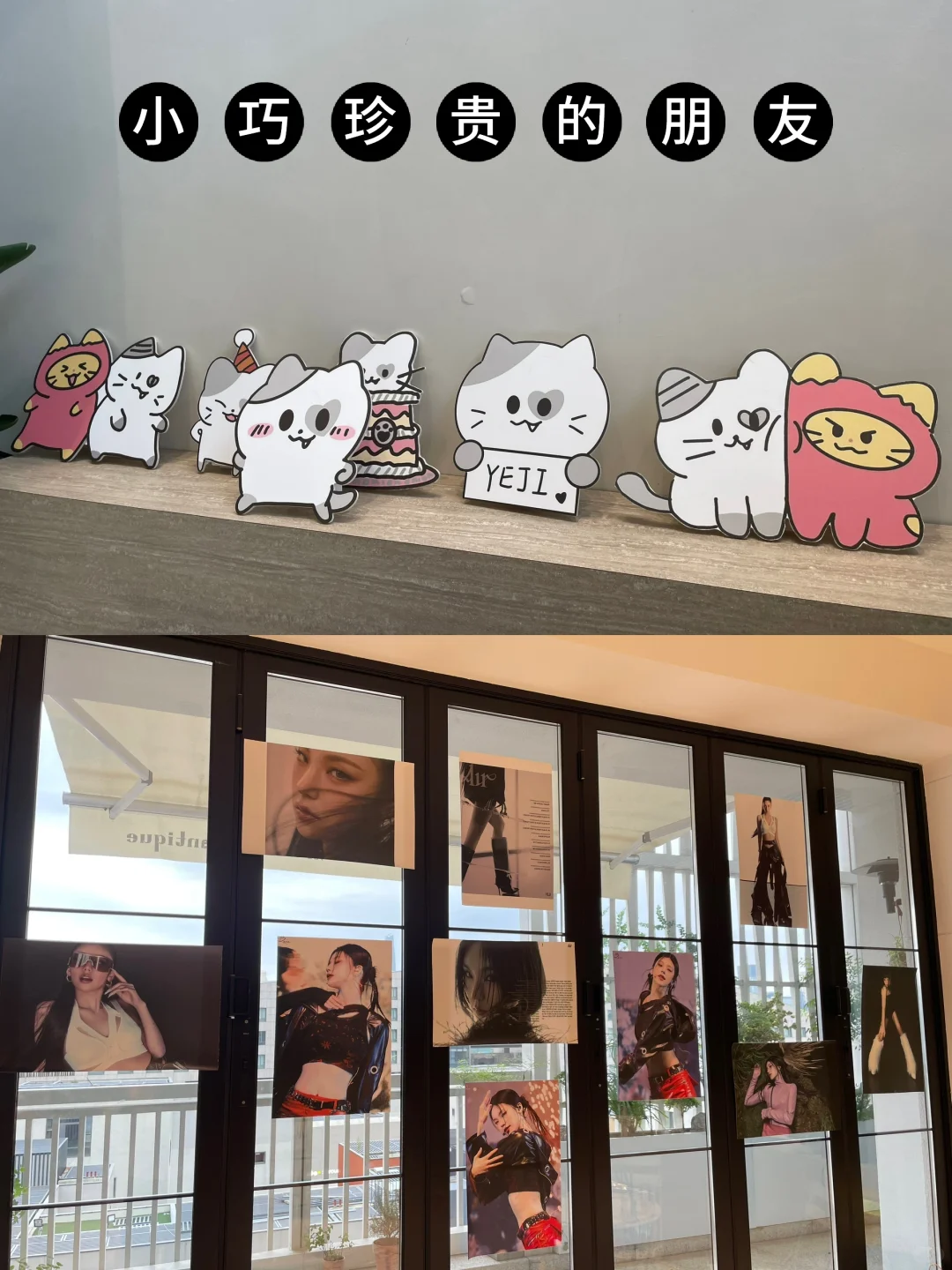 给黄礼志办的生咖mini展～零基础生咖教程